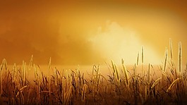 夕陽(yáng)視頻素材