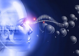 幻想世界設計信息系統