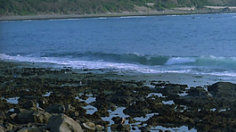 海