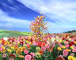 美麗的鮮花