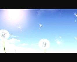 蒲公英素材下載