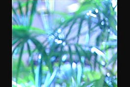 自然风光背景视频素材模板下载