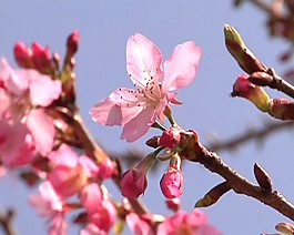 多媒體設(shè)計