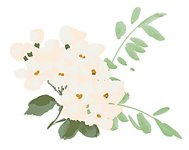 綠葉花