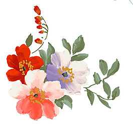 含苞鮮花