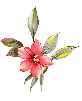鮮花盛開(kāi)