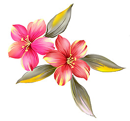 盛開鮮花