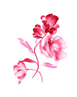 粉色的花