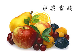 水果家族