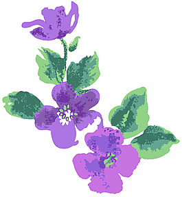 綠葉紫花