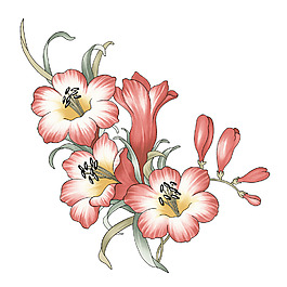 粉色花朵