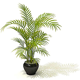 室內(nèi)常用裝修裝飾綠色植物3d模型