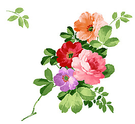 美麗花朵