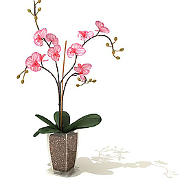 3D室內(nèi)裝飾綠色植物花模型