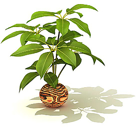 室內(nèi)植物3D模型