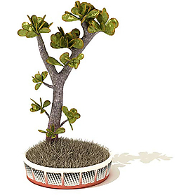 3D室內(nèi)室外裝修裝飾植物盆栽模型