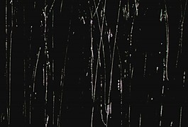 動(dòng)態(tài)視頻背景模板下載