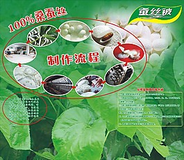 蚕丝被说明