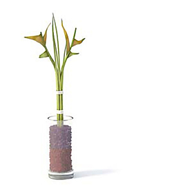 3D室內(nèi)裝飾植物模型