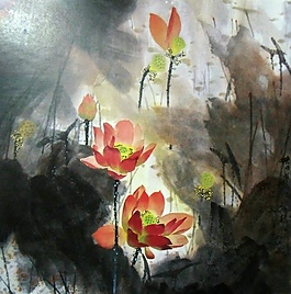 荷花素材圖