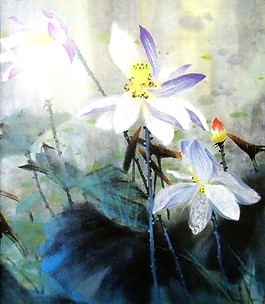 荷花素材