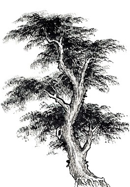 樹木山水