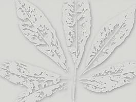 ppt背景模板下載