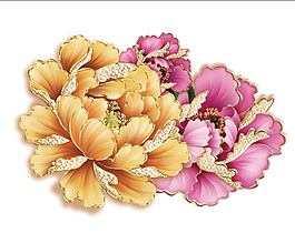 華麗金邊牡丹花