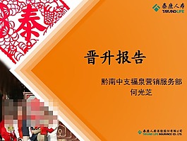 中國(guó)人壽PPT素材