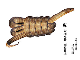 高清PSD分層素材太極拳道場(chǎng)