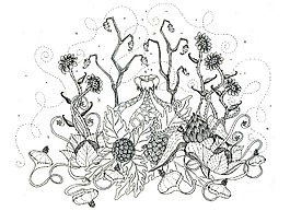 植物插畫