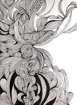 花紋插畫