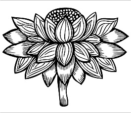 视觉感花纹