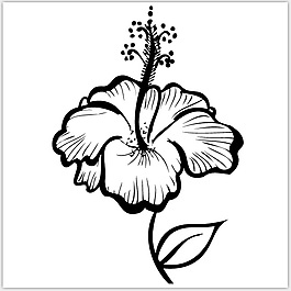 盛開的鮮花