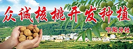 核桃開發(fā)種植