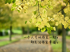 傷感愛情故事主題ppt模板