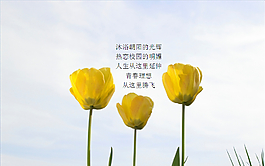 一組花卉學(xué)院主題ppt模板