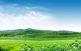 風(fēng)景