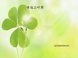 淡雅清新幸运三叶草PPT模板