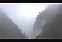 标清实拍素材