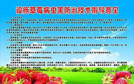設施草莓病蟲害的防治意見