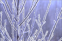 雪景視頻素材素材下載