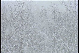 雪景視頻素材模板下載