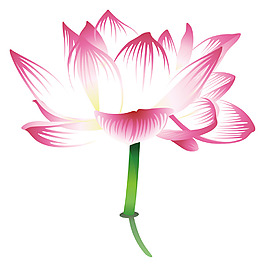 蓮花