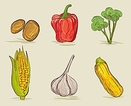 蔬菜