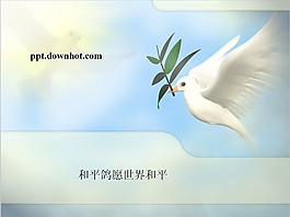 昆明火車站和平鴿精美PPT模板