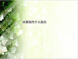 淡雅簡約個人簡歷PPT模板