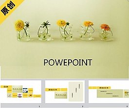 清新黃色小雛菊PPT模板