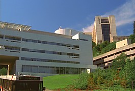 城市風光模板下載