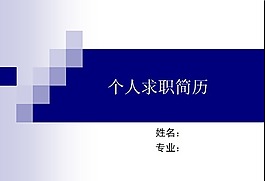 個人求職報告PPT模版